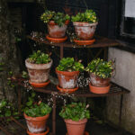 Ingunns rosehage_PB_Fotograf Kristine Hellemo_-1024