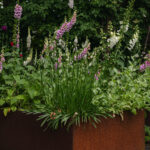 Ingunns rosehage_PB_Fotograf Kristine Hellemo_-1038