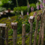 Ingunns rosehage_PB_Fotograf Kristine Hellemo_-1048